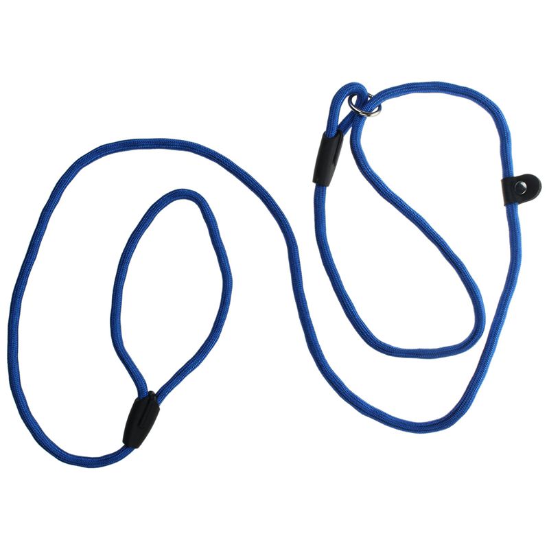 Strong Nylon Pet Dog Lead Puppy Walking Slip Collar Rope Strap Training Lea G4V8