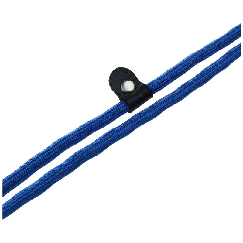 Strong Nylon Pet Dog Lead Puppy Walking Slip Collar Rope Strap Training Lea G4V8