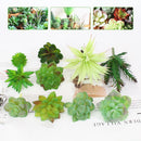10Pcs PVC Artificial Succulent Flocking Plants Foliage  Landscape Garden Decorations