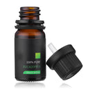 6 Pcs 10mL Aromatherapy Essential Oil Set 100% Pure kit Bottles Gift Box