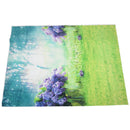 5x7FT Vinyl Photography Backdrop Photo Background, Fairy tale theme S9H8