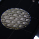 60X-100X Optical Zoom Mobile Phone LED Microscope Lens with Universal Clamp