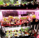 Full Spectrum 50W 100W LED Plant Grow Light Hydroponic Veg Flower Iodine Lamp AC220V