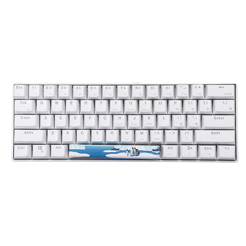 Five-sided Dyesub PBT OEM Profile Antarctic Penguin Space Bar 6.25u Novelty Keycap for GK61 Black Case and Cherry MX Switch Keyboard