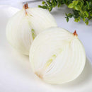 Egrow 200 Pcs/Pack White Onion Seeds Kitchen Seasoner Organic Vegetable Seed Garden DIY Plants
