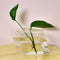 Wall-mounted Rhombus Glass Flower Vase Home Garden Wedding Party Decoration