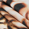 180 x 180cm Snow Leopard Home Bathroom Shower Curtain Waterproof Fabric +12 Hooks