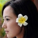 Women Girls Ladies Plumeria Flower Foam Hair Clip Pin Headwear Hair Accessory White
