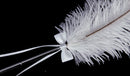 Wedding Bridal Party White Ostrich Quill Feather Guest Book Signing Pen Bowknot