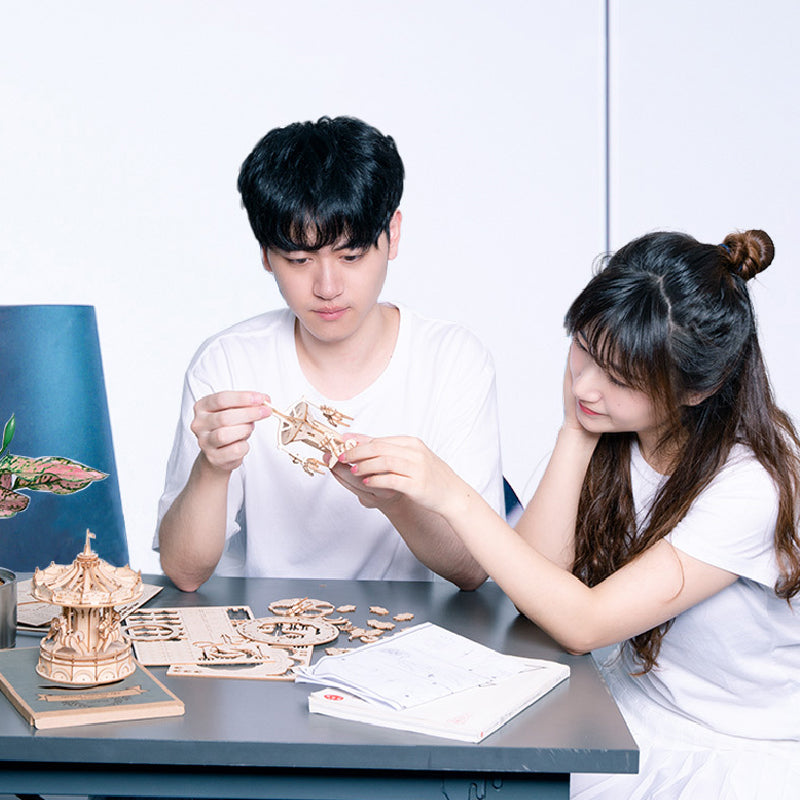 Woodcraft Construction Kit Ferris Wheel Wooden Model Jigsaw 3D Puzzle Toy for Kids Adults