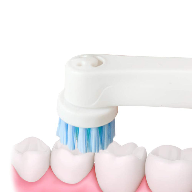 EB-17D 4PCS Universial Replacement Tooth Brush Heads For Oral Care Electric Toothbrush Heads