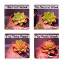 96LED Grow Light Tube Full Spectrum Indoor Plant lamp Greenhouse Double Tube