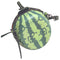 Fruit Green Watermelon Print Round Bag Shoulder Cross Body Cosmetic Makeup  P1I7