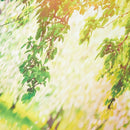3x5ft Green Trees Forest Field Garden Nature Scenery Graphic Printed Wall M C4S8