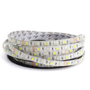 5M Waterproof RGBW RGBWW SMD 5050 LED Flexible Strip Light for Christmas Decor DC12V
