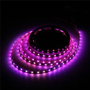 4M 240LEDS WS2812B Non-Waterroof 5050 RGB  LED Strip Light Individual Addressable DC 5V