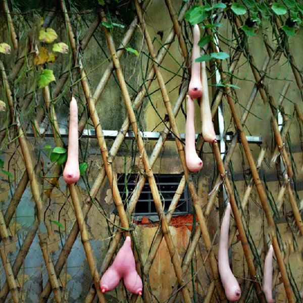 Egrow 50 Pcs/Pack Vietnam Milk Funny Melon Seeds Garden Balcony Vegetable Fruit Plants Seed