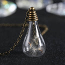 Fashion Dandelion Clear Glass Bottle Pendant Necklace Jewelry Chain Bronze