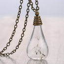 Fashion Dandelion Clear Glass Bottle Pendant Necklace Jewelry Chain Bronze