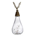 Fashion Dandelion Clear Glass Bottle Pendant Necklace Jewelry Chain Bronze