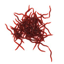 100x Silicone Earthworm Fish Lure Worm Fishing Crankbaits Hooks Baits Tackle