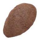 ( Pack of 2 ) Half Round Pre-Formed Replacement Coco Liner, 12-Inch