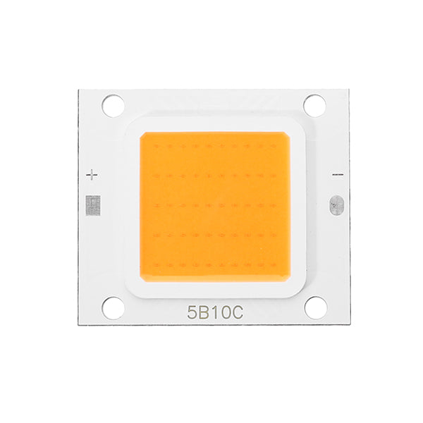 10W 20W 30W 50W 100W LED Plant Grow Light Chip DIY with AC90-240V Driver Power Supply