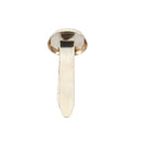 19mm Paper Fasteners, Pack of 300 -TUB350 M8I8
