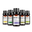3pcs/6pcs 10ml Pure Natural Plant Extracts Essential Oils Set For Aromatherapy Diffusers Humidifier Air Lavender Tea Tree Lemongrass Rosemary Essential Oil