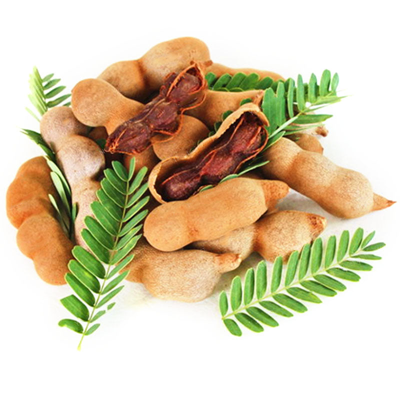 Egrow 10Pcs/Pack Tamarind Tree Seeds Fruit Vegetable Tree Bonsai Home Garden Decoration DIY Plants