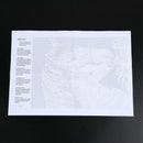 Diy Oil Painting by Numbers -Horses- PBN Kit for Adults Girls Kids White ChrS6X7