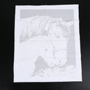 Diy Oil Painting by Numbers -Horses- PBN Kit for Adults Girls Kids White ChrS6X7