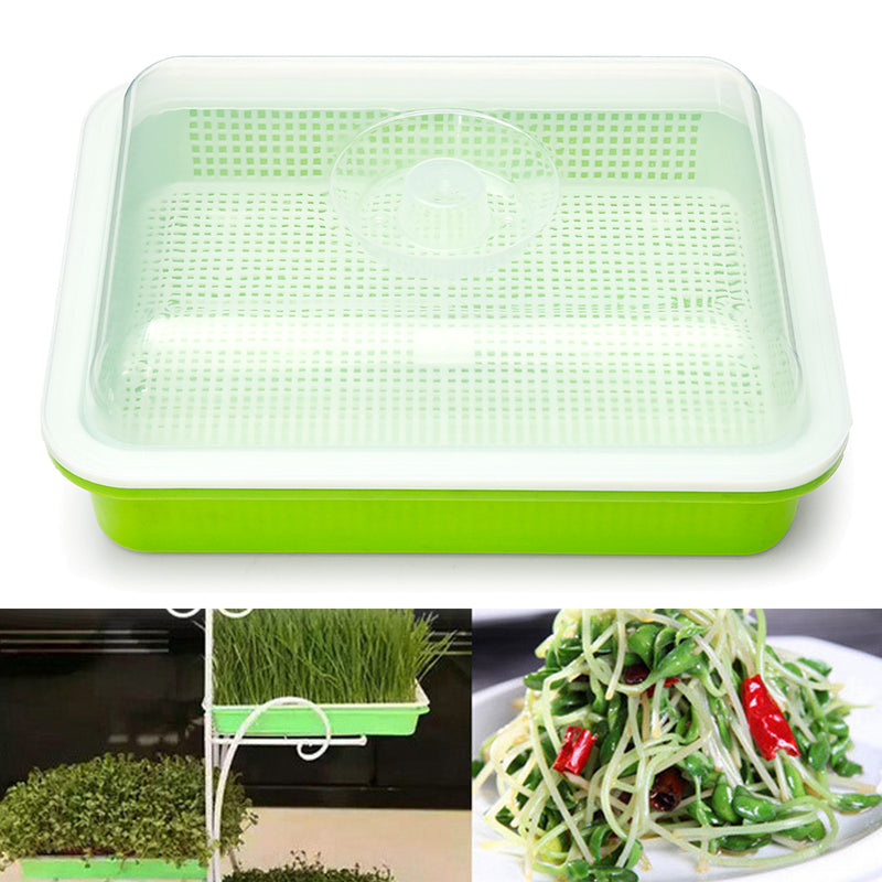 Seed Sprouter Tray Free PP Soil-Free Big Capacity Healthy Wheatgrass Grower Planting Grow Box