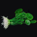 Non Toxic Environment Friendly Simulation Plastic Aquatic Plants Aquarium Ornament Decorations Green