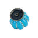 Cute Pumpkin Drawer Cabinet Bin Dresser Cupboard Pull Knob Handle With Screw Blue