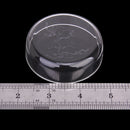 Acrylic Shrimp Feeding Dish For Shrimp Tropical Fish Ratfish Aquarium Fish Tank Supplies 6.8 x 5.4x 2.0 cm