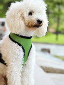 Soft Breathable Mesh Adjustable Chest High Strength D-Ring Dog Harness Belt Green XL