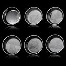 Acrylic Fresh Salt Water Shrimp Small Tropical Fish Ratfish Feeding Dish Aquarium Tank Supplies Pattern Winter Jasmine