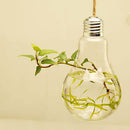 Transparent Bulb Shape Wall Hanging Vase Bottle Plant Flower Decor Home Office Living Room Garden DIY