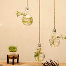 Transparent Bulb Shape Wall Hanging Vase Bottle Plant Flower Decor Home Office Living Room Garden DIY