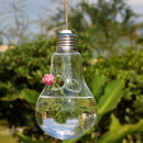 Transparent Bulb Shape Wall Hanging Vase Bottle Plant Flower Decor Home Office Living Room Garden DIY