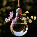 Transparent Bulb Shape Wall Hanging Vase Bottle Plant Flower Decor Home Office Living Room Garden DIY