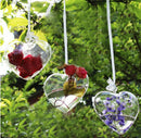 Transparent Heart Shape Wall Hanging Vase Bottle Plant Flower Decor Home Office Living Room Garden DIY
