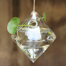 Transparent Rhombus Shape Wall Hanging Vase Bottle Plant Flower Decor Home Office Living Room Garden DIY