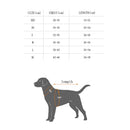 Fashionable Washable Reusable Suspender Sanitary Pant Panty Diaper With Dots for Pet Female Dog Random Color Size S