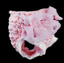 Waterproof Comfortable Pink Drape Pierced Design Floral Chiffon White Lace Dog Physical Pant Pet Supplies Pink M
