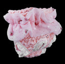 Waterproof Comfortable Pink Drape Pierced Design Floral Chiffon White Lace Dog Physical Pant Pet Supplies Pink M