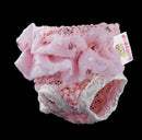 Waterproof Comfortable Pink Drape Pierced Design Floral Chiffon White Lace Dog Physical Pant Pet Supplies Pink M