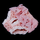 Waterproof Comfortable Pink Drape Pierced Design Floral Chiffon White Lace Dog Physical Pant Pet Supplies Pink M