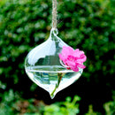 Vase de Fleur Plante Suspendu en Verre Conteneur Accessoire Cadeau Decor Jardin Maison